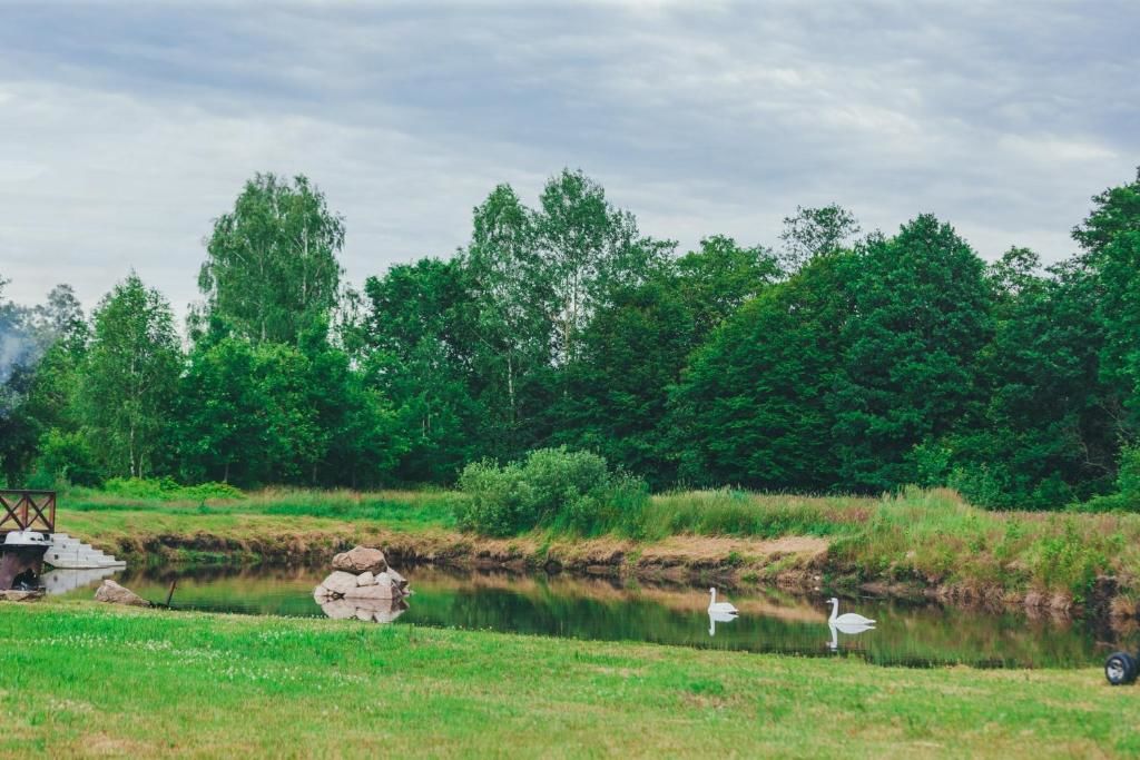 Дома для отпуска Агроусадьба Дубравский рай Dubrava